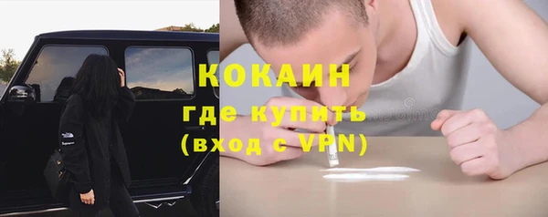 бошки Мегион