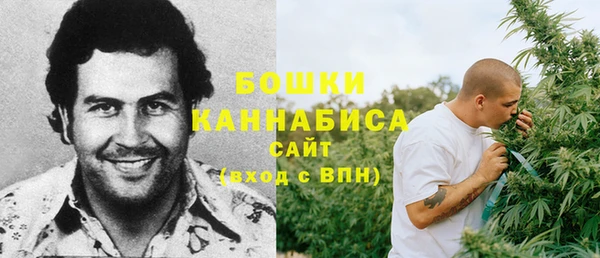ПСИЛОЦИБИНОВЫЕ ГРИБЫ Михайловка