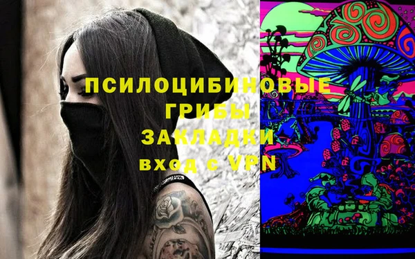 бошки Мегион