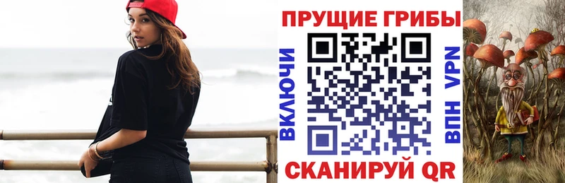 Псилоцибиновые грибы мицелий  Удачный 